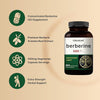 Suplemento de berberina de 500 mg, 300 cápsulas vegetales