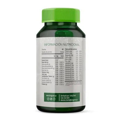BACTERIUM PLUS - 60 CAPSULAS